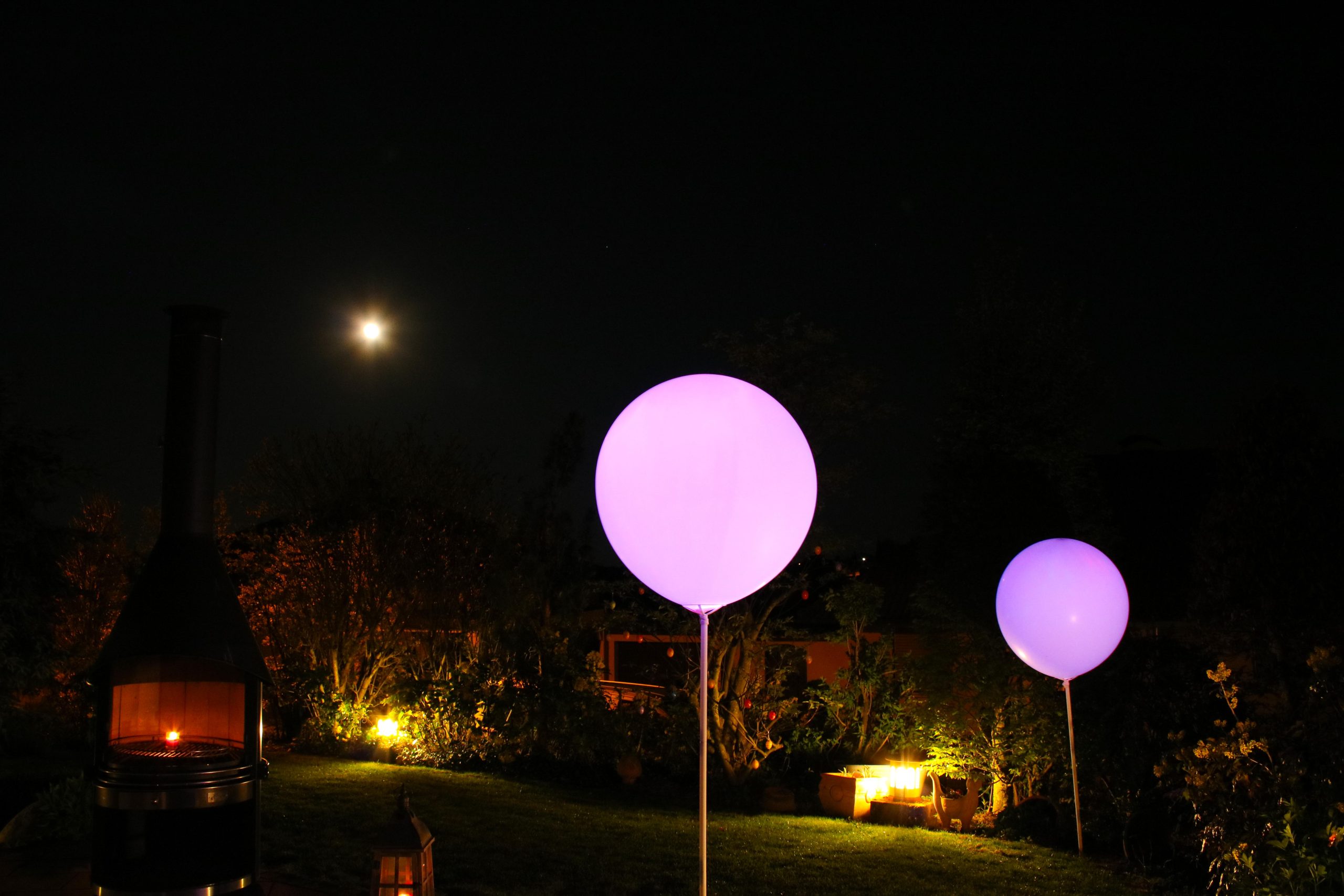 Lila leuchtende Riesenballons in einem Garten bei Nacht